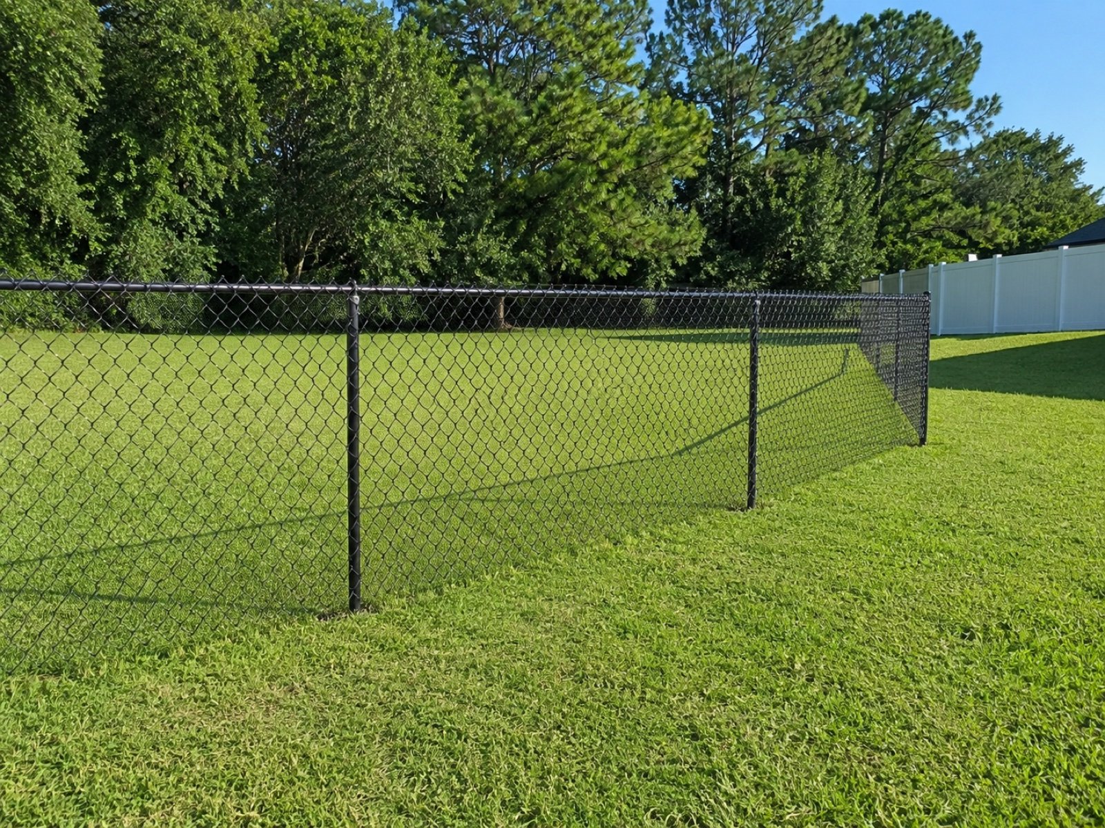 Chain link fence for a Pensacola yard